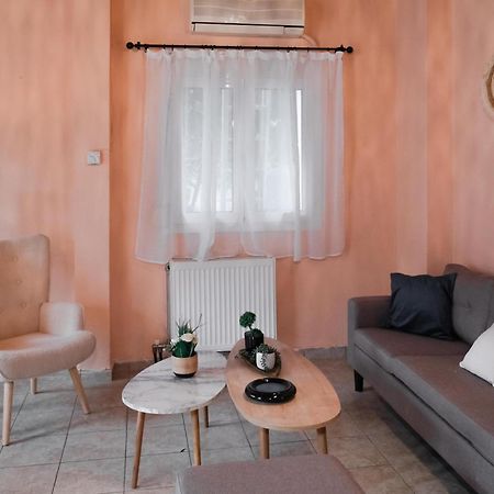 Cozy House In Pelion Apartman Káto Lekhónia Kültér fotó