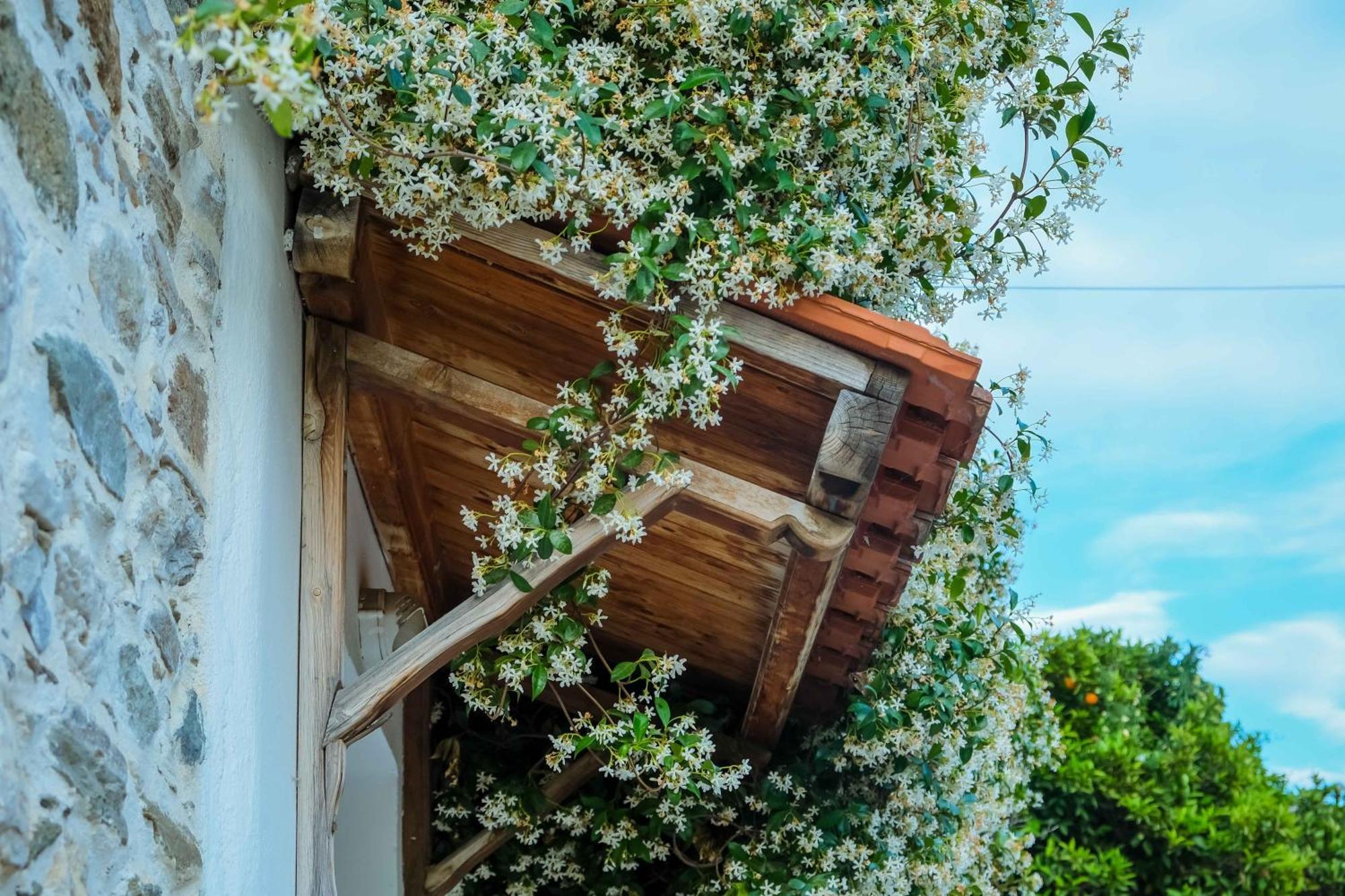 Cozy House In Pelion Apartman Káto Lekhónia Kültér fotó